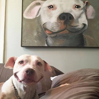 Sourire