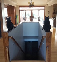 Bon.. je descendrai plus tard