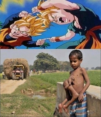 FUSIOOOOON