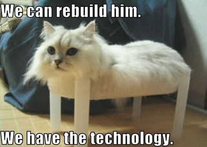 On peut le reconstruire. Nous avons la technologie.