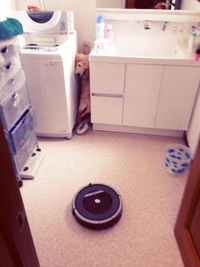 Un robot attaque un chien