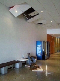 Tel un ange tombé du ciel