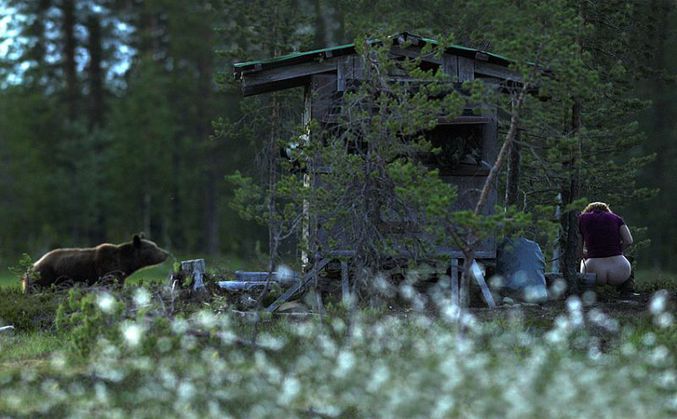 La Grande Ourse et la Lune.