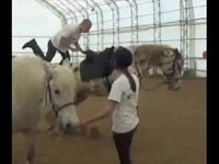 Cheval qui n'aime pas se faire monter