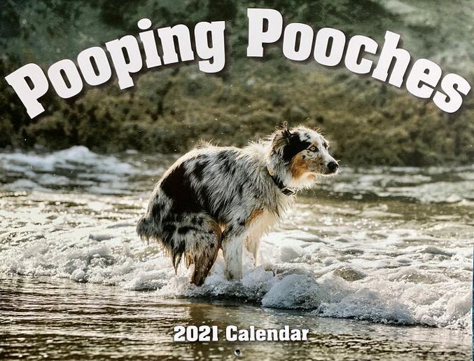 J'invent rien, c'est ici :
http://www.poopingpooches.com/