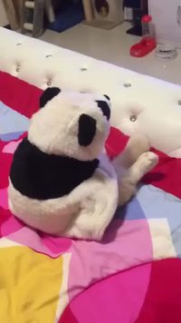 Un panda?