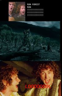 Run forest !