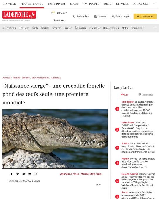 "Naissance vierge" : une crocodile femelle pond des œufs seule, une première mondiale

Aux Etats-Unis, une femelle crocodile solitaire et détenue en captivité pendant 16 ans a pondu une couvée d'œufs. C'est la "première documentation" de ce mode de reproduction.

C'est du jamais vu : le tout premier cas connu d'un crocodile femelle pondant des œufs sans compagnon mâle a été documenté par des scientifiques. C'est un type de reproduction rare qui pourrait être attribuée aux dinosaures. Au cours des deux dernières décennies, les zoologistes ont de plus en plus documenté ce mode de reproduction dans lequel les femelles pondent des œufs ou donnent naissance à leur progéniture sans s'accoupler.

Jusqu'à présent, il a été démontré qu'un large éventail d'animaux, notamment des oiseaux, des reptiles (lézards et serpents), ainsi que certains poissons, notamment des requins, se reproduisaient selon ce mode unique. Cependant, des questions subsistent pour les tortues, les crocodiles et les alligators ont déclaré des chercheurs de la Virginia Polytechnic Institute et de la State University aux États-Unis.

Dans une nouvelle étude, publiée mercredi 7 juin dans la revue Biology Letters et partagée par l'Independent, les chercheurs ont documenté la première preuve de ce mode de reproduction chez le crocodile américain. La dernière recherche est basée sur l'observation en 2018 d'une femelle crocodile américaine solitaire détenue en captivité pendant 16 ans, qui a pondu une couvée d'œufs, dont l'un contenait un fœtus discernable, indiquant qu'elle était une femelle comme sa mère.

"Naissance vierge"

La découverte, selon les chercheurs, est la "première documentation" de ce mode de reproduction chez une espèce de crocodile. Suite à une analyse génétique, les scientifiques ont confirmé que la crocodile femme pondait ses œufs sans aucune intervention d'un mâle : un processus communément appelé "naissance vierge".

Bien que les œufs n'aient pas éclos, la découverte a intrigué les biologistes car elle indique qu'il existe une origine évolutive commune de la stratégie de reproduction rare chez les reptiles, les crocodiliens et les oiseaux.

