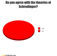 Les théories de Schrödinger
