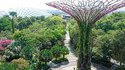 Visite de jardins futuristes de Singapour