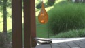 Explosion d'un ballon d'eau