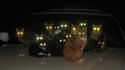 You're in the wrong neighbourhood, motherfucker !