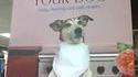 Cuisiner [pour] son chien