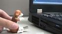 Chien usb