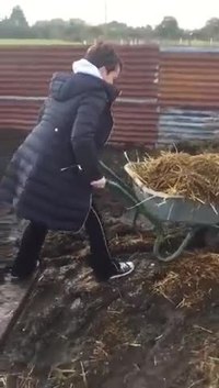 Apprentissage de la brouette