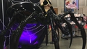 Cosplay de Rachnera