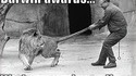 Darwin awards : un gagnant en puissance