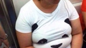 Trouvez le panda
