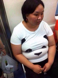 Trouvez le panda