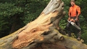 Sculpteur sur bois