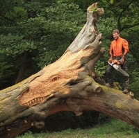 Sculpteur sur bois