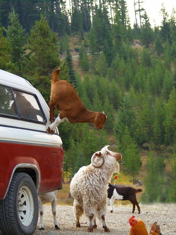 Hello Newton, we've goat a problem...