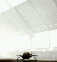 Un démonstrateur (cf ci-dessous) avait convaincu ma belle-mère d'acheter un trampoline...