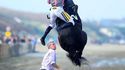 Poney sauteur