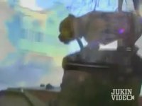 Un parkour qui a du chien