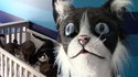 Catdad
