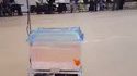 Le poisson dirige le robot 