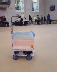 Le poisson dirige le robot