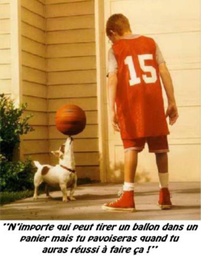 Un chien met à l'amende son maître en basket-ball.