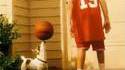 Chien qui domine en basket-ball