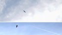 Hommes volants