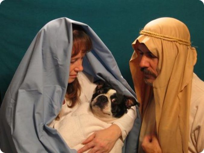 Jésus, Marie, Joseph ! Quelle belle photo de famille.