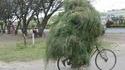 Camouflage à vélo