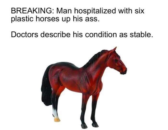 NLDR en français: 
Derniere minute:
Un homme hospitalisé avec six chevaux en plastique dans le cul.
Les médecins décrivent son état comme 'étable' (stable, en anglais, jeu de mot).