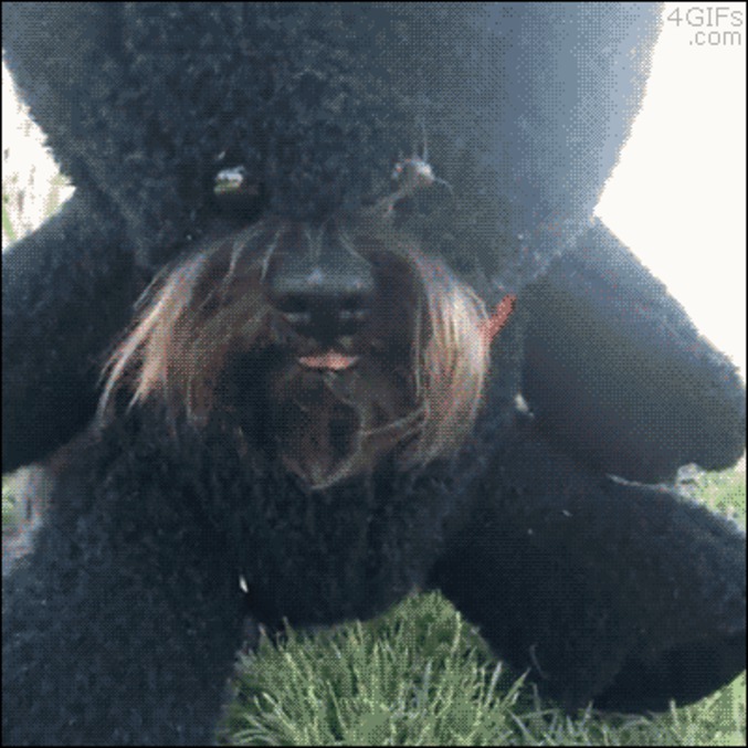 Transformer son chien en peluche