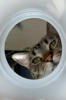 Y a un truc au fond...