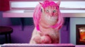 La standardiste des Lolcats