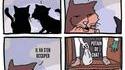 La chatte à la voisine