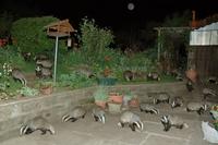 Après le diner de cons