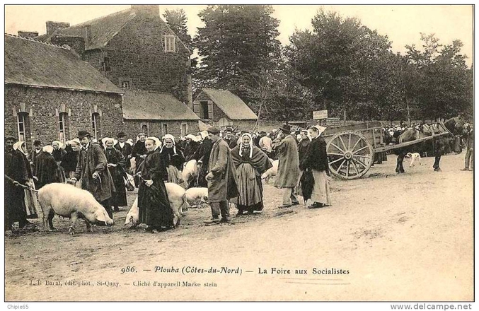 Carte postale historique (format 11X15 cm) issue d'une série de Jean-Baptiste Barat effectuée au début du siècle dernier et représentant la foire au cochon. Ici à Plouha en Goëlo mais J.B. Barat a sillonné l'ensemble des Côtes d'Armor (anciennement Côtes du Nord) pour cette série de photographies puis les a éditées en cartes postales. Photographe professionnel et éditeur de cartes postales, J.B. Barat (1855-1931) est un des témoins de la mutation des pays de Trégor et de Goëlo pendant la cinquantaine d'années où il effectua son métier, souvent avec humour et satire politique.