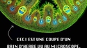 Ils sont partout 345