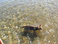 Diego à la mer