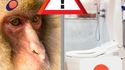 Quand tu vois des toilettes japonaises pour la première fois