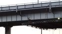 Cerf bloqué sur un pont