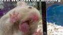 Un bisou?