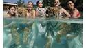 Compagnon de piscine